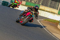 PJ-Motorsport-Photography-2018;enduro-digital-images;event-digital-images;eventdigitalimages;mallory-park;mallory-park-photographs;mallory-park-trackday;mallory-park-trackday-photographs;no-limits-trackdays;peter-wileman-photography;racing-digital-images;trackday-digital-images;trackday-photos